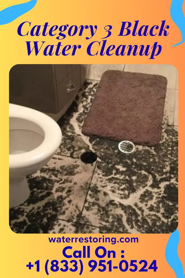 Category 3 Black Water Cleanup in Americus, KS