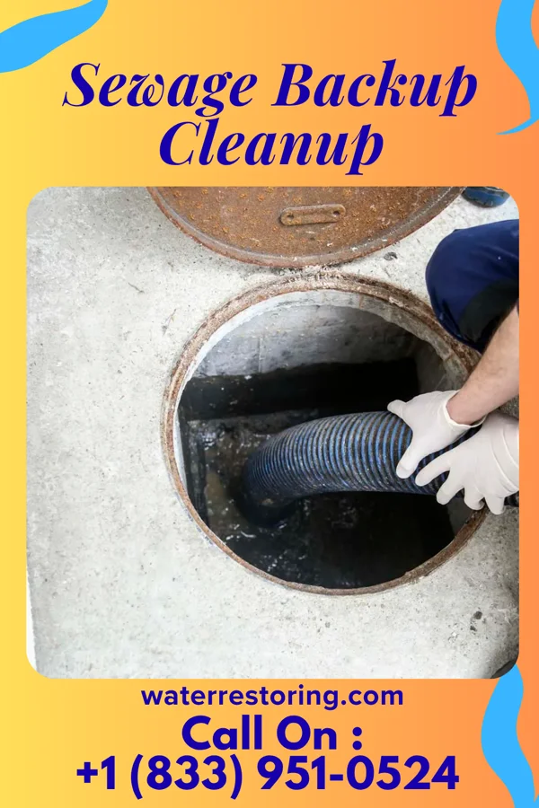 Sewage Backup Cleanup in Americus, KS